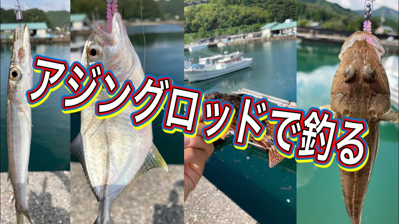漁港ランガン！アジングロッドで色々な魚を釣りました。【ライトゲーム】