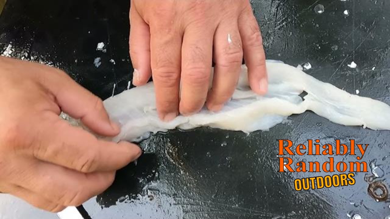 How to get boneless fillet from asian carp