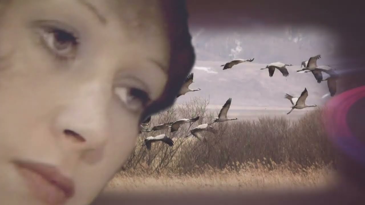 Алла Пугачёва  -  До свидания, лето!