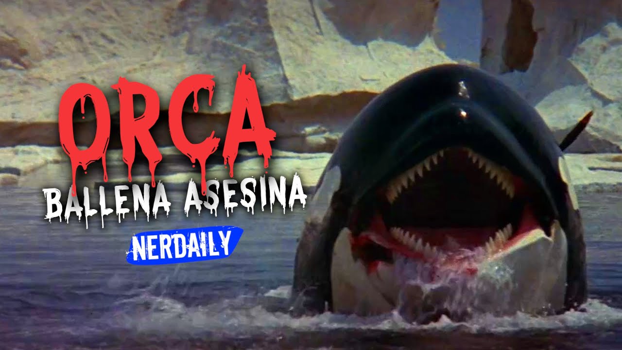 ORCA (Ballena Asesina) EN 9 MINUTOS