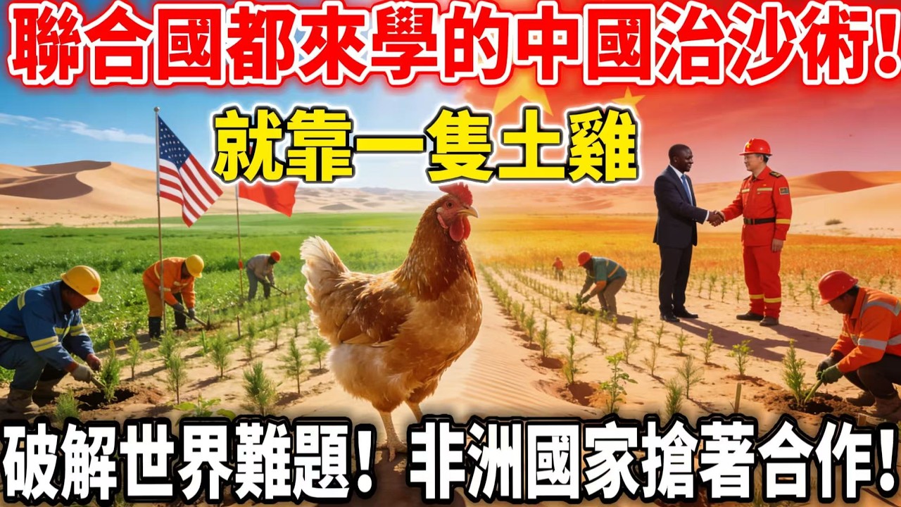 中國把死亡之海變聚寶盆！光伏板下養雞，牧民年賺5萬多！非洲國家搶著合作！