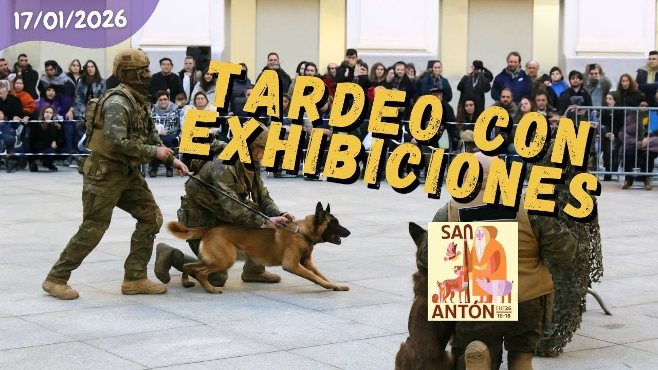 Tarde de paseo por San Antón en el Palacio de Cibeles🐕🐩🐕‍🦺🦮