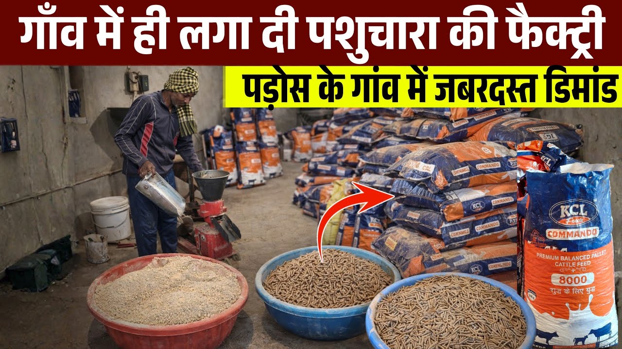 गाँव मे ही KCL ब्रांड से Animal Feed की Factory लगा दी🔥💯 आस-पास के गाँव की Demand पूरी नही हो पा रही