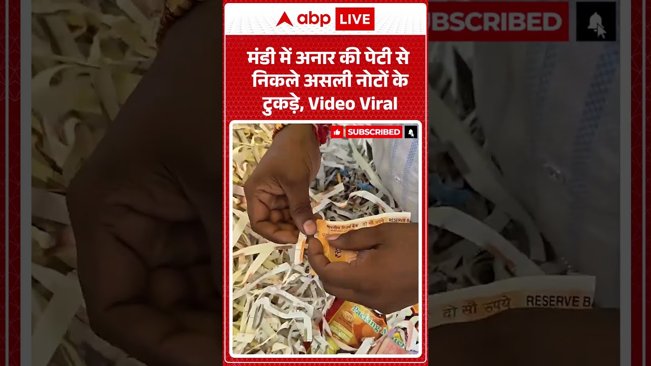 Viral Shorts : Mandi में अनार की पेटी से निकले असली नोटों के टुकड़े, Video Viral |  #pomegranate