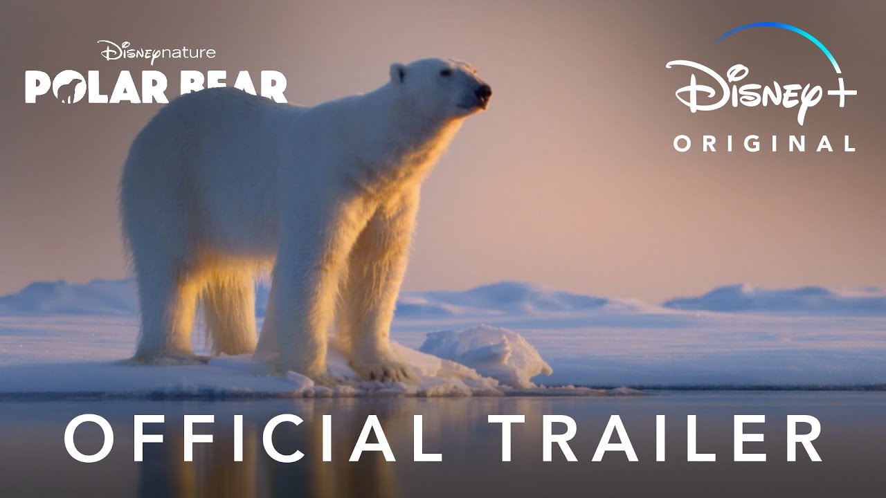 Official Trailer | Disneynature&rsquo;s Polar Bear | Disney+