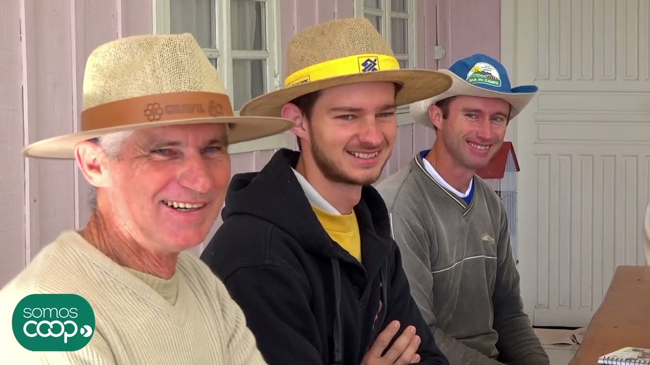 Internet no Campo