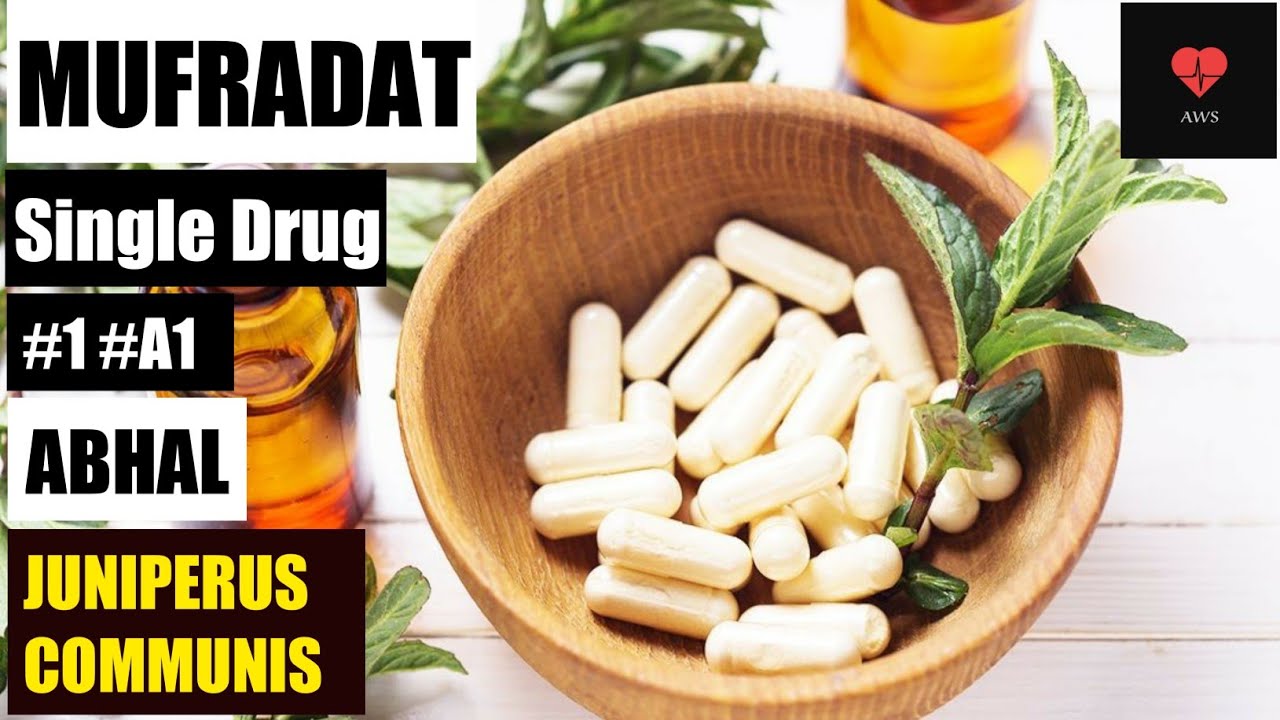 ABHAL |  MUFRADAT | JUNIPERUS COMMUNIS | BUMS 2nd Prof. | Function | Uses | Details.
