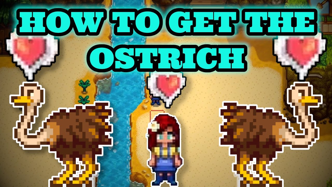 Stardew Valley 1.5 | How to get the ostrich Full Tutorial