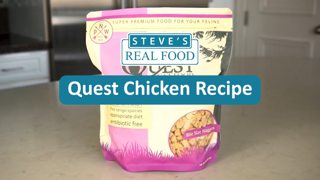 Product Video: Chicken Quest Raw Cat Food - Steve's Real Food