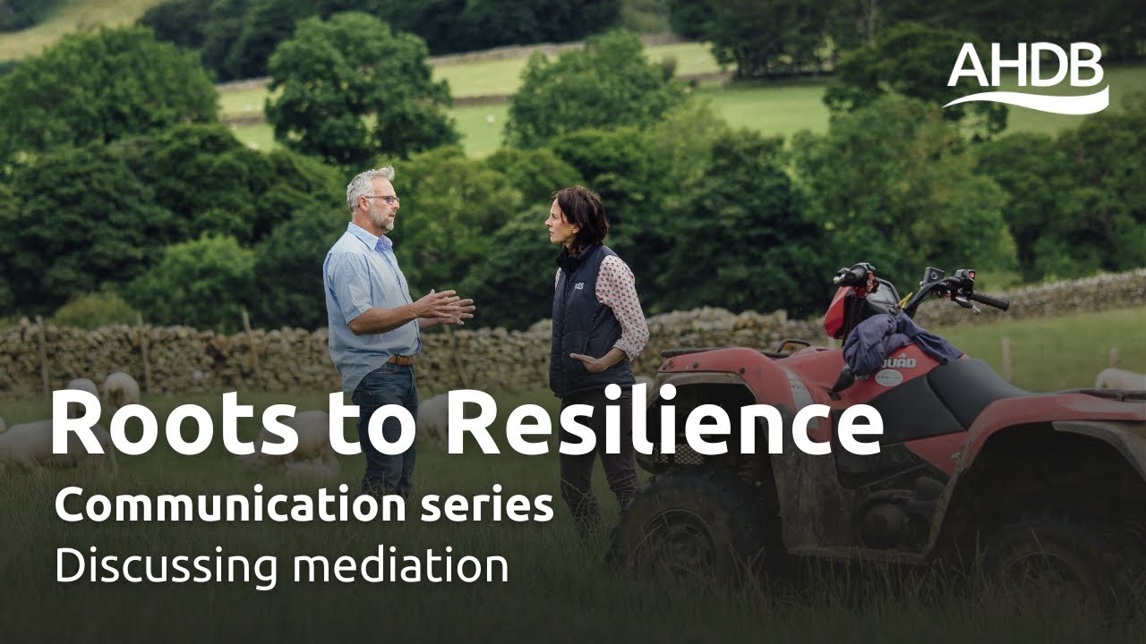 Discussing mediation | Roots to Resilience