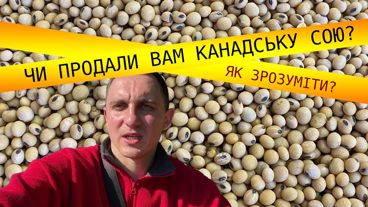 Вам продали оригінальну канадську сою: як відрізнити?!