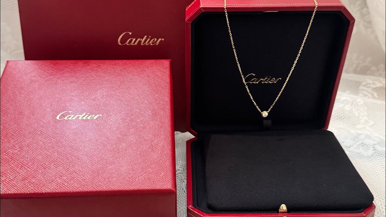 駆けティエ！CARTIER D'AMOUR NECKLACE  カルティエ ダムール ネックレスを購入しました💜