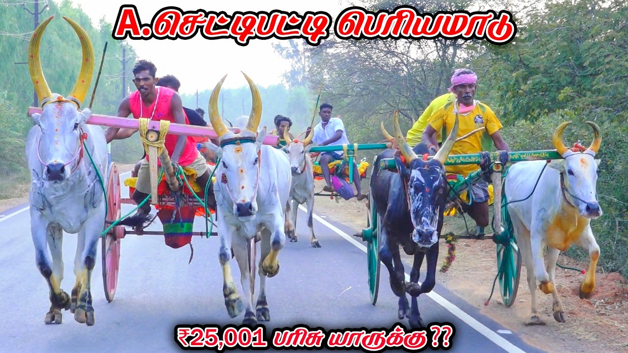 6A.செட்டிபட்டி-பெரியமாடு-பந்தயம்_10.03.2026_V_Photography