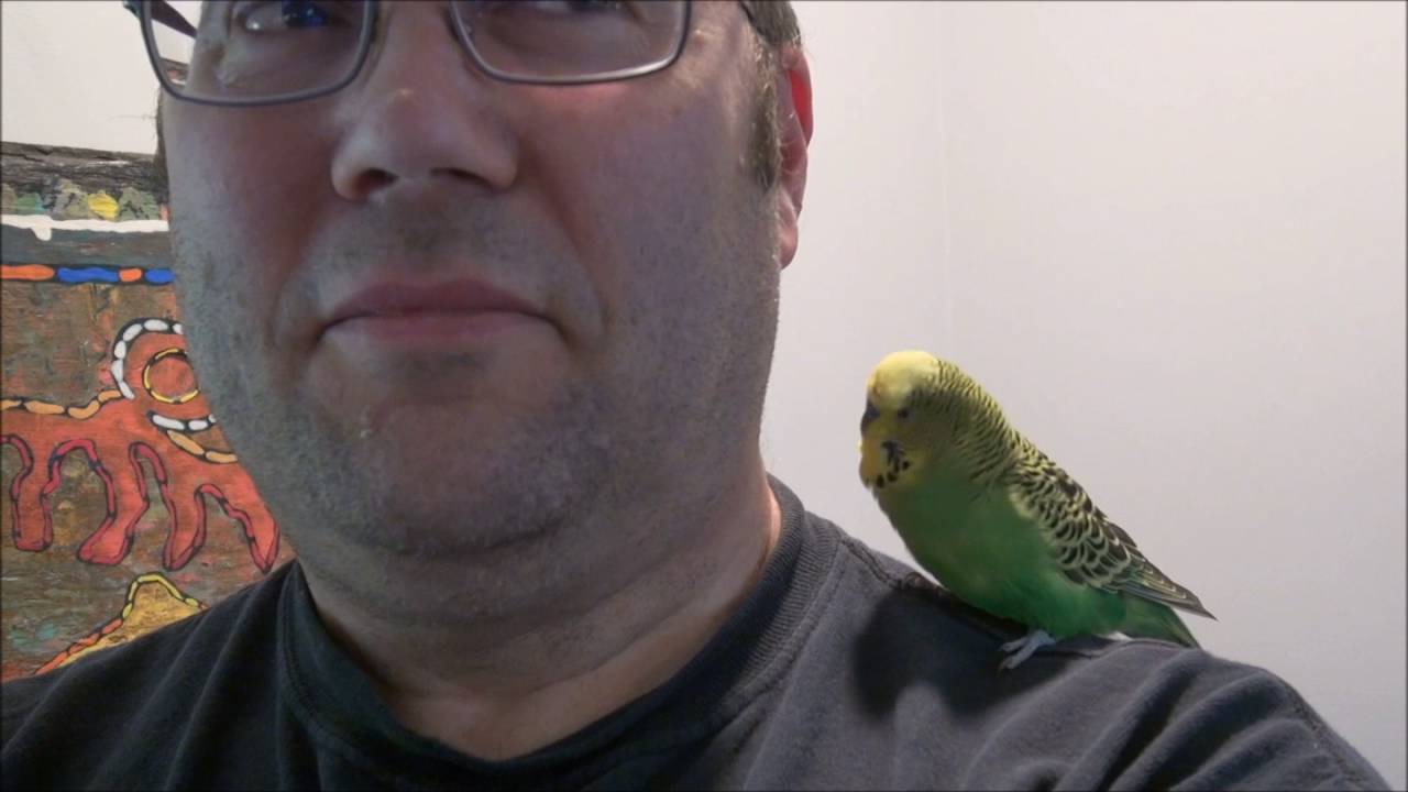 Disco Talks to Daddy: Part Deux
