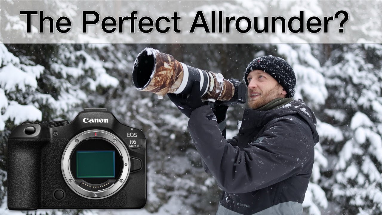 Canon EOS R6 III — Реальный опыт фотосъемки дикой природы (обзор)