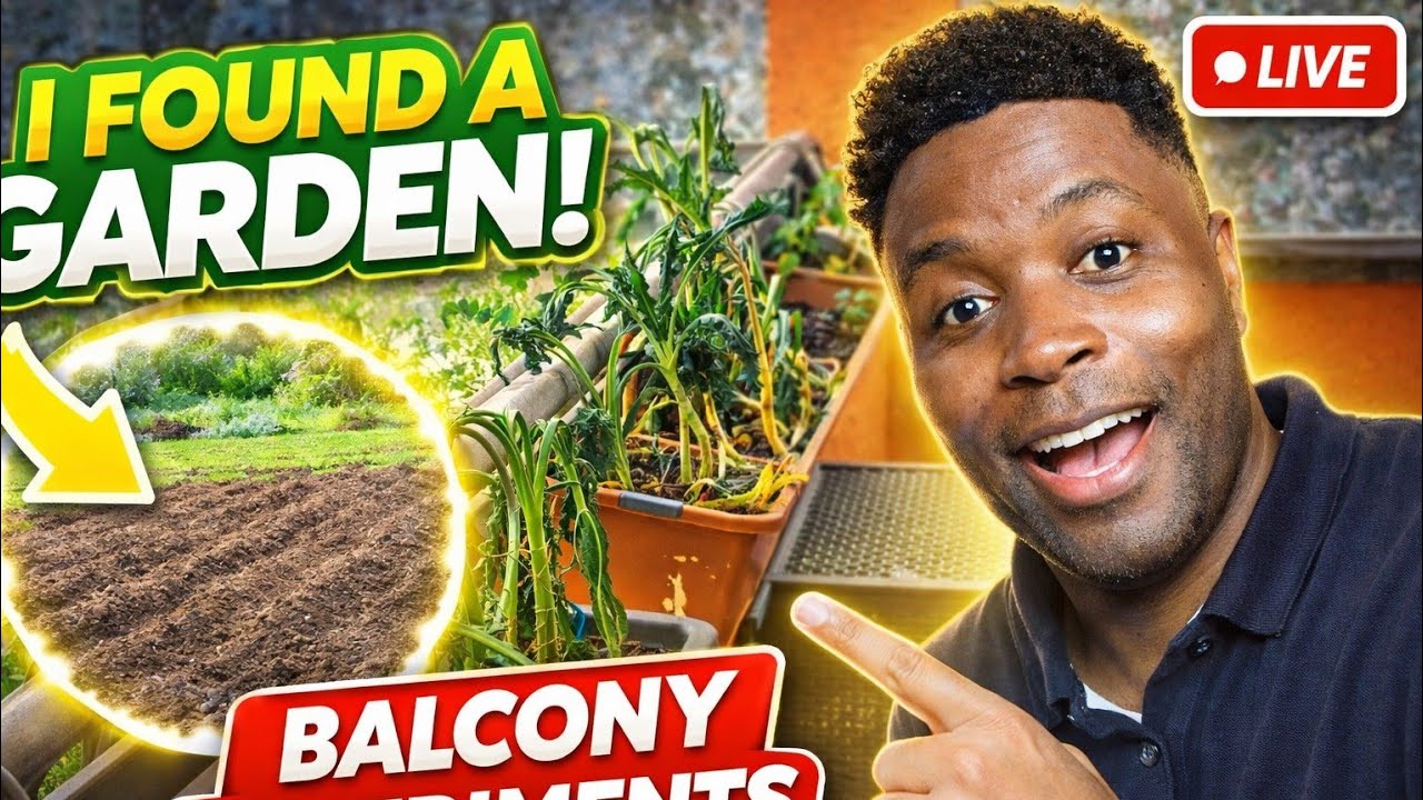 Never Give Up—My Journey to a Dream Garden