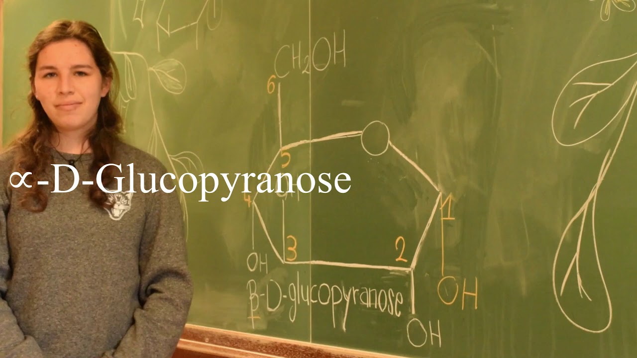 La Cellulose