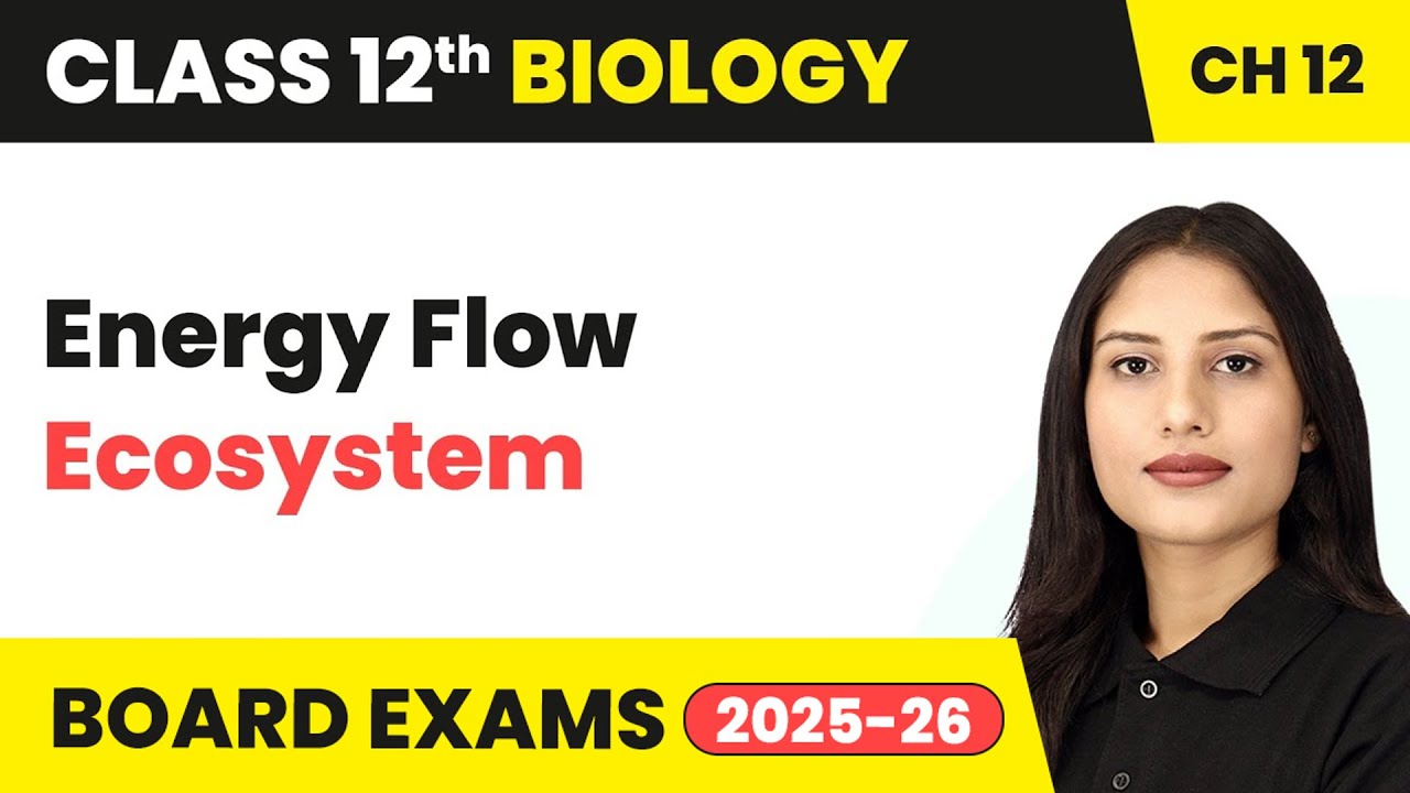 Energy Flow - Ecosystem | Class 12 Biology Chapter 12 | CBSE 2025-26