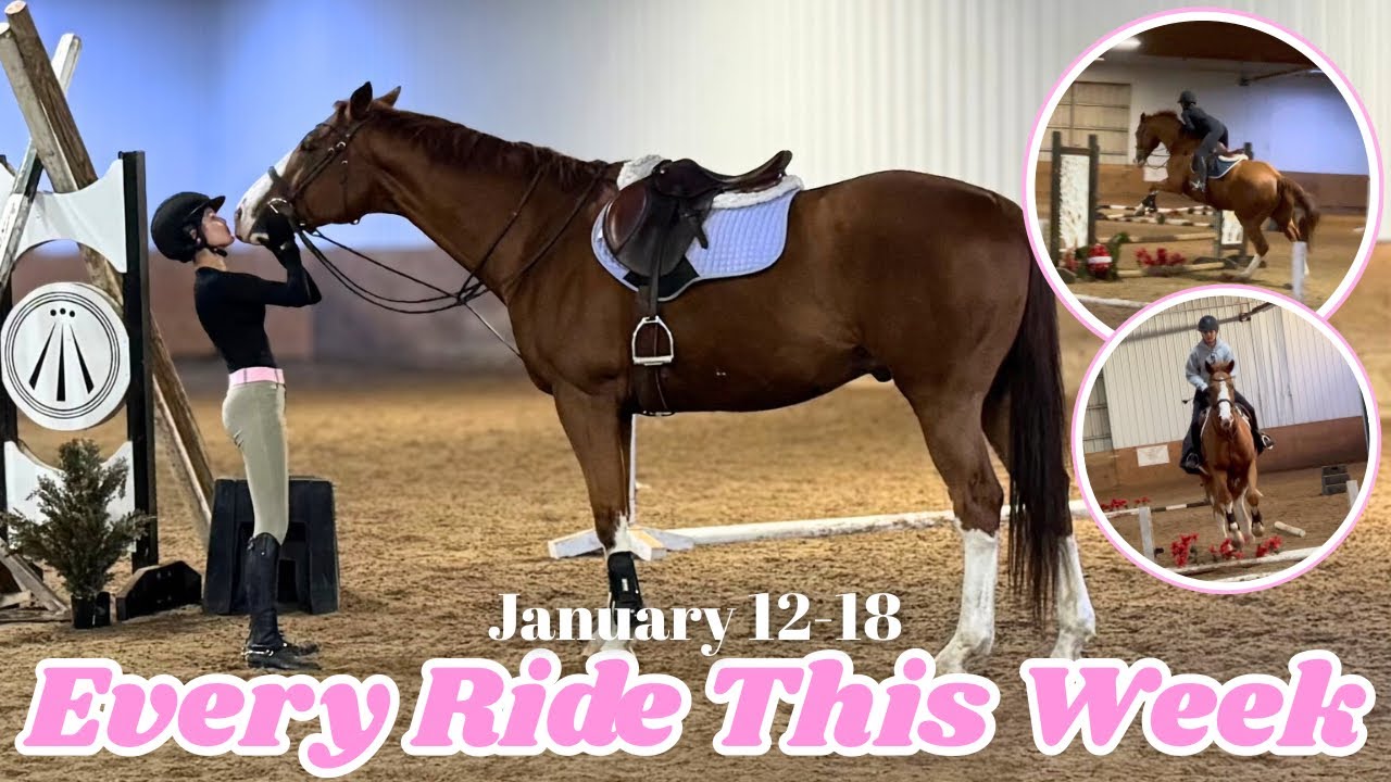 Every Ride From January 12-18! 