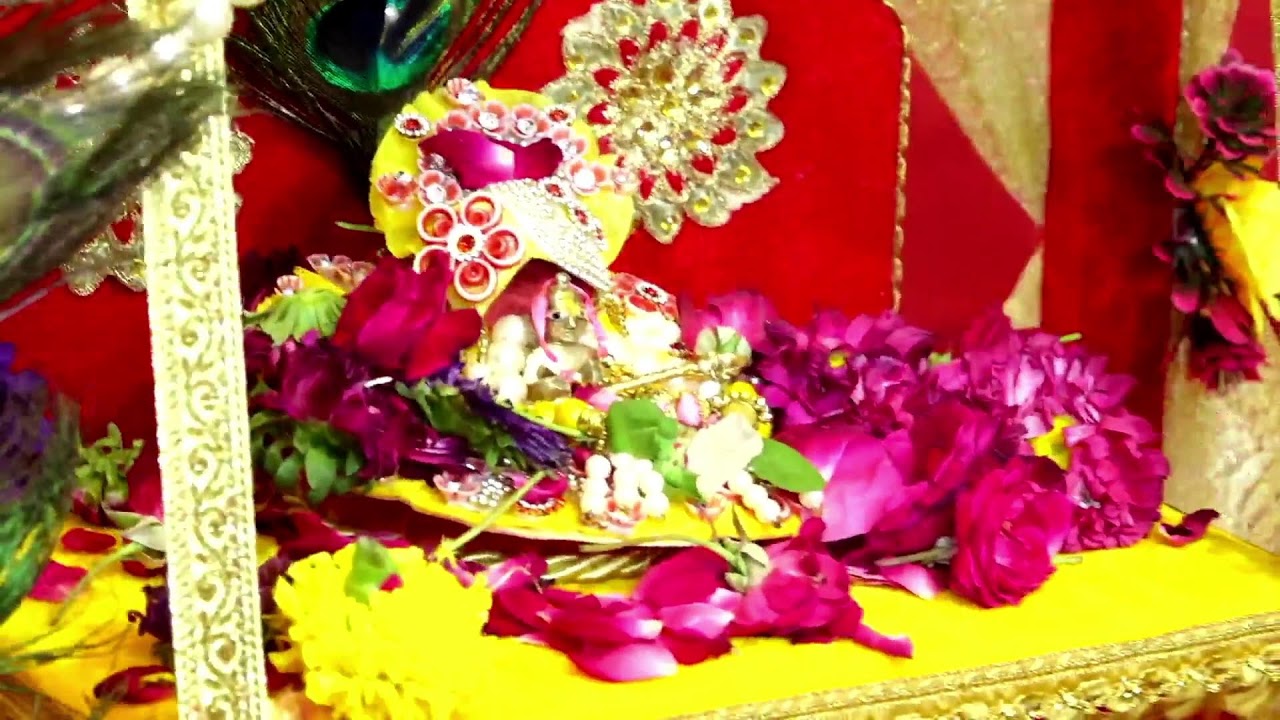 श्रीकृष्ण जन्मोत्सव ~ जन्माष्टमी 2025 ~ पावन चिंतन धारा आश्रम