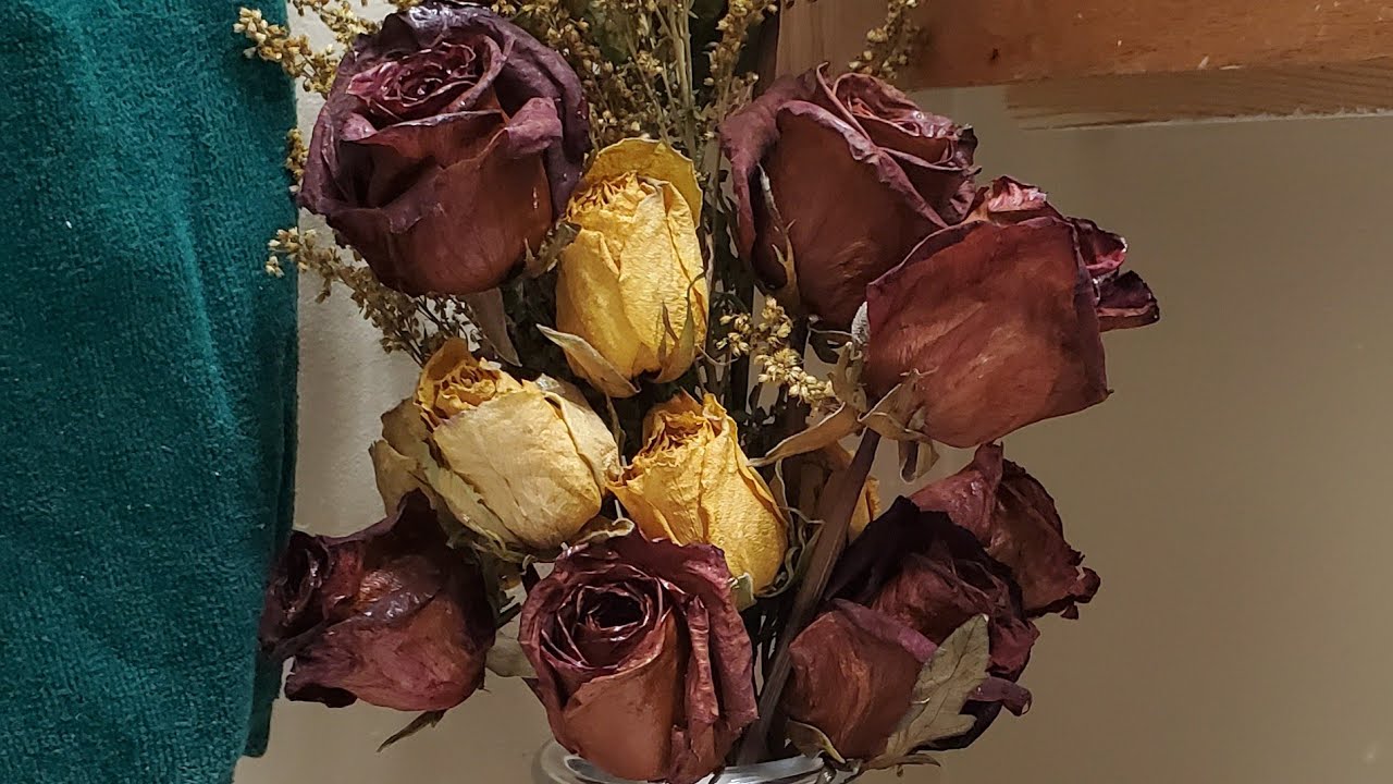 Como aprovechar tus rosas secas..descubre como pegarlas