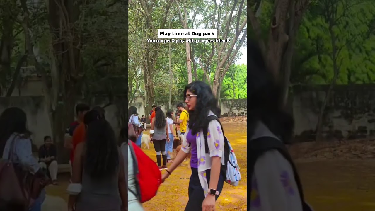 What I Discovered in Cubbon Park Changed My View of Bangalore