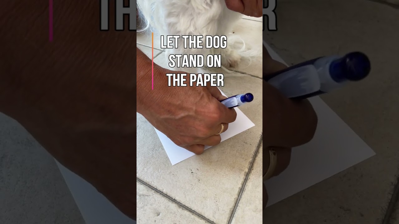 How to measure dogs paws? See the video!