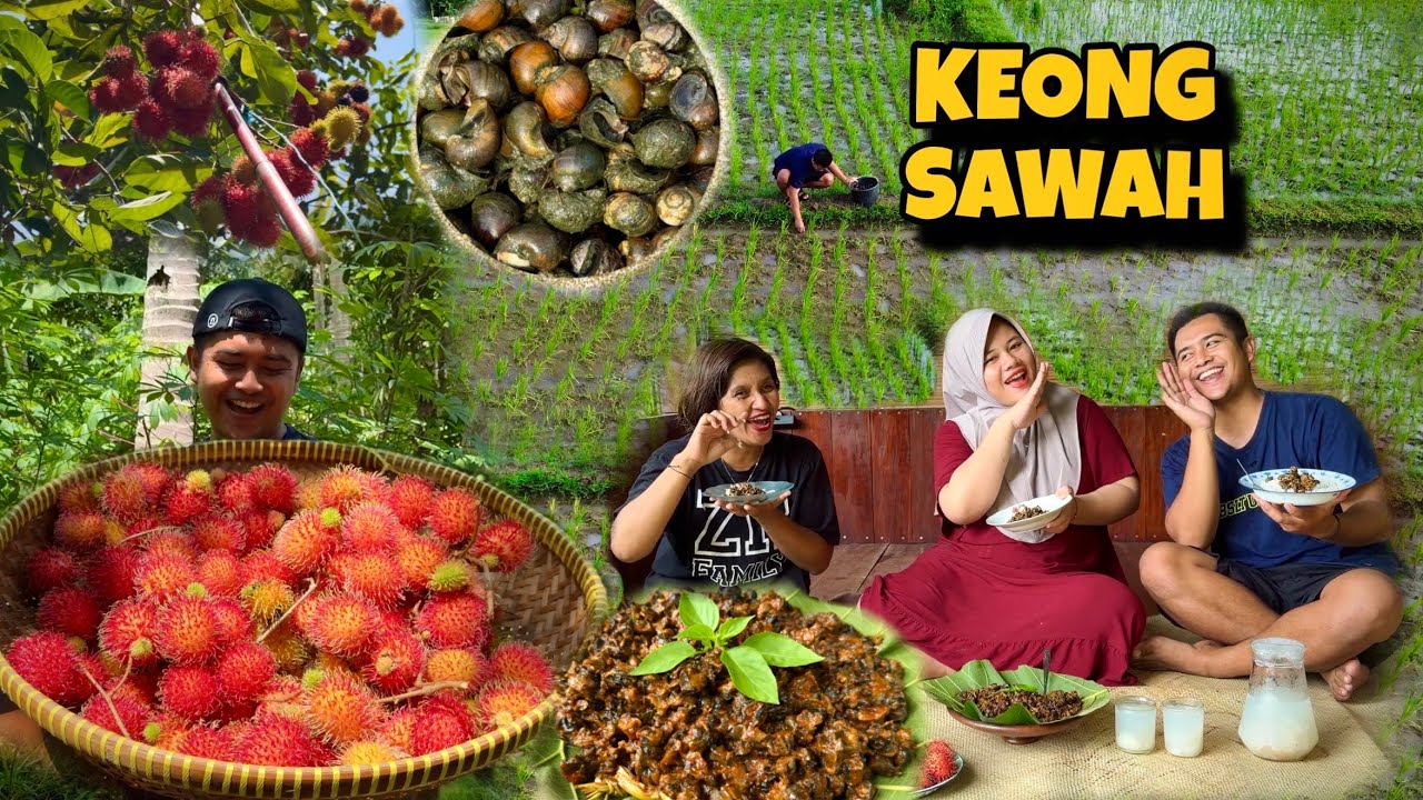 BERBURU KEONG SAWAH PANEN RAMBUTAN MASAK RICA RICA KEONG DAN BIKIN ES RAMBUTAN‼️😍