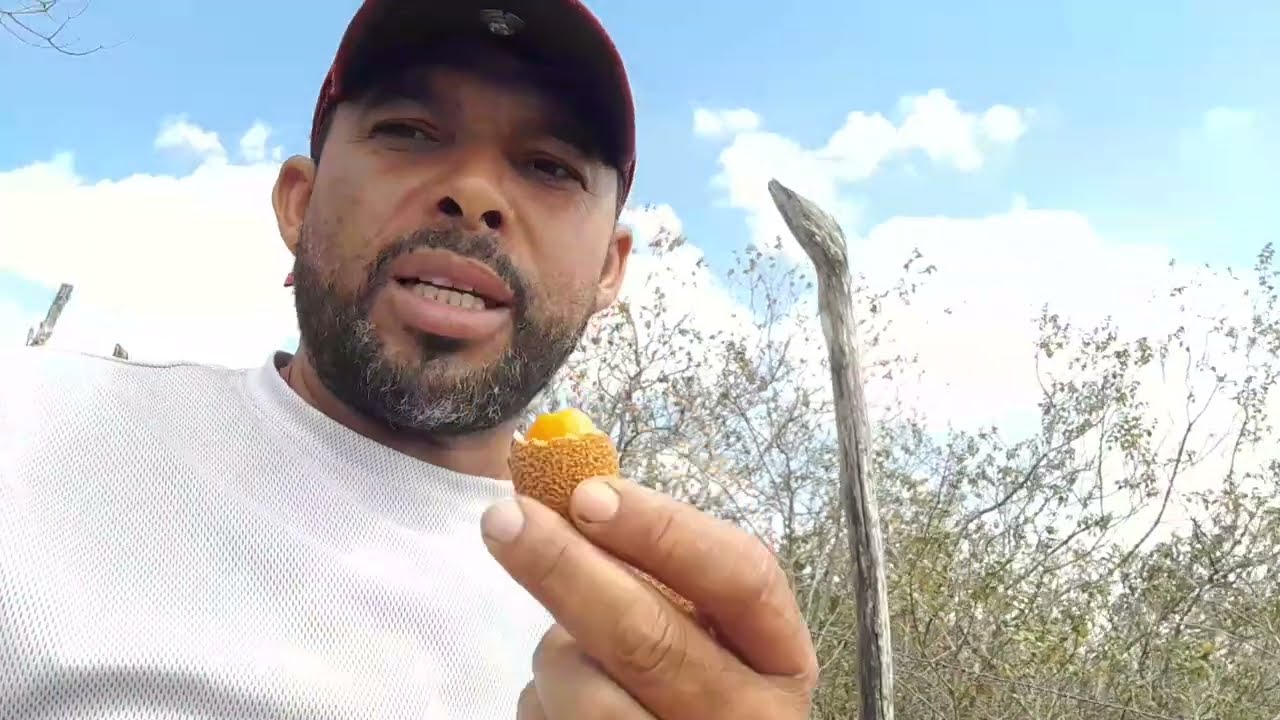Frutas típicas do sertão