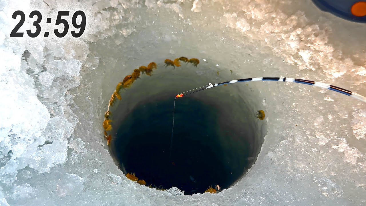 Опустил мормышку на старом месте, А ОН ПОДНЯЛ КИВОК И НАЧАЛСЯ НОЧНОЙ КЛЁВ! Зимняя рыбалка 2025