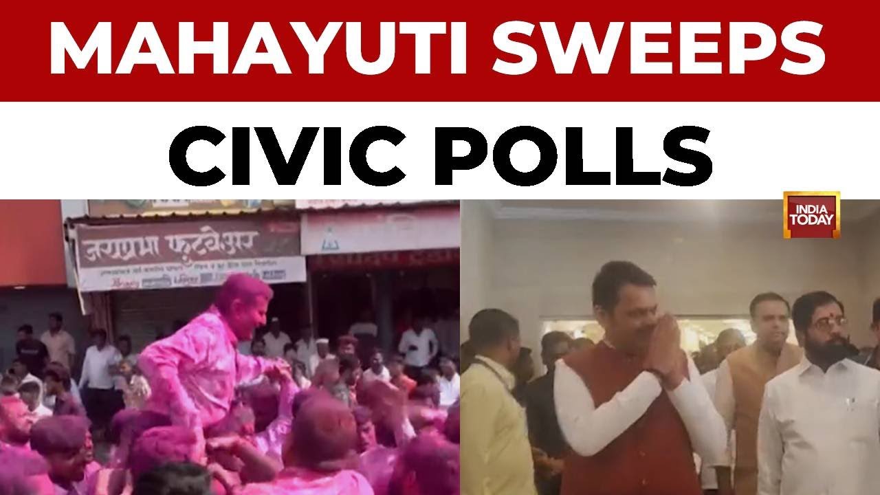 Mahayuti sweeps Maharashtra local polls winning 207 bodies; MVA alliance shows cracks | India Today
