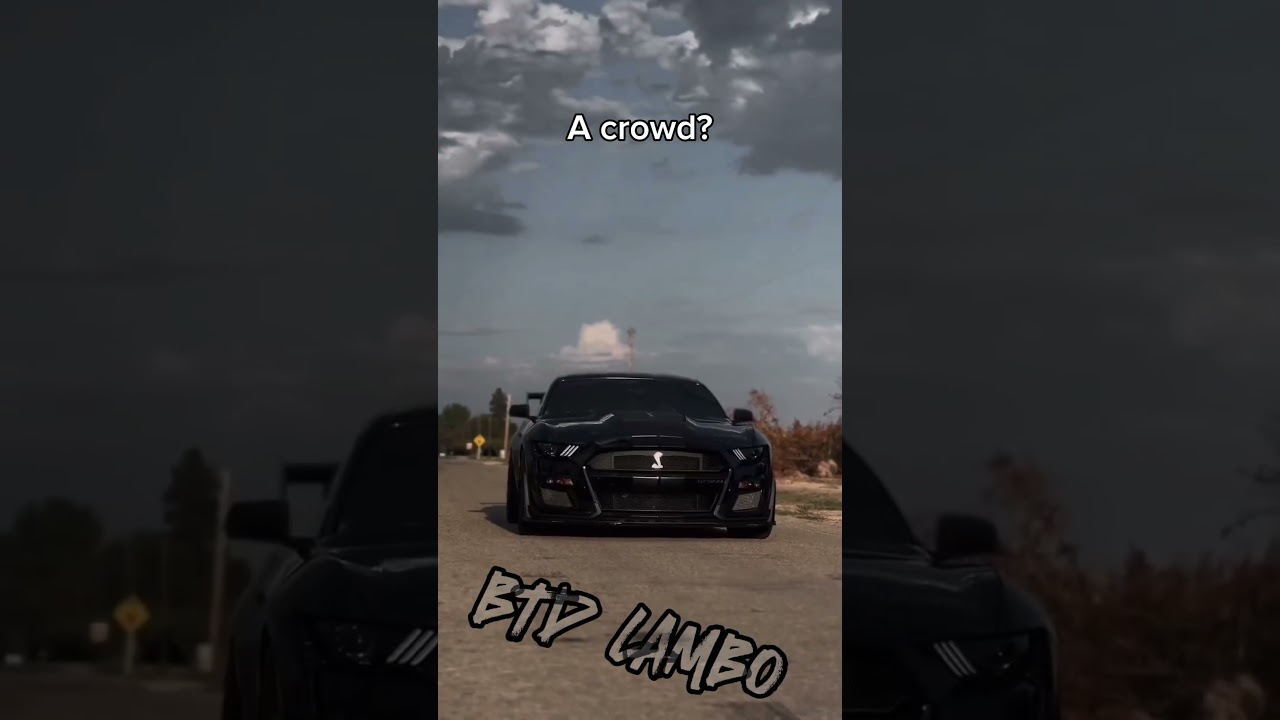 :] #trump #ice #iceraid #mustang #haha