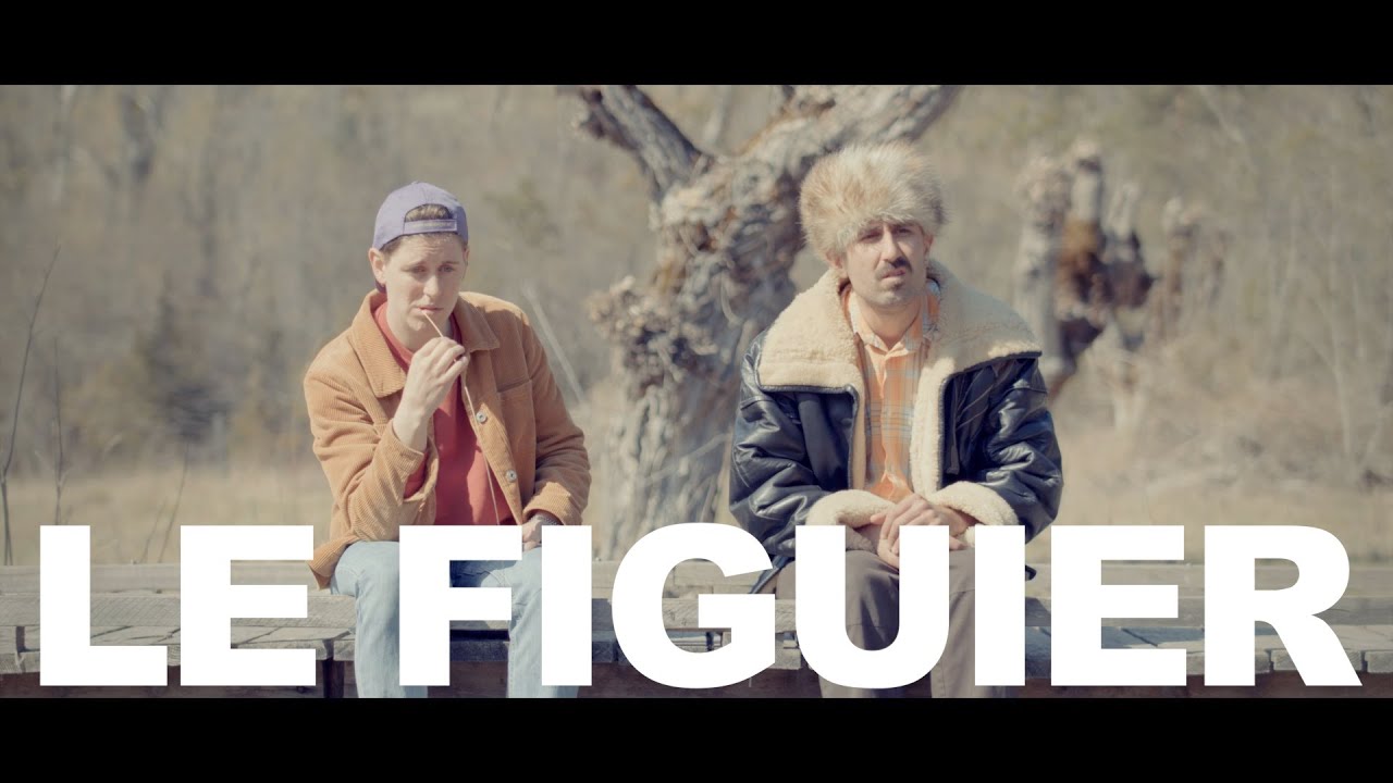 FAÇONS DE PARLER - Le figuier