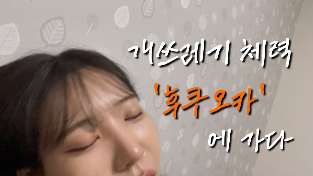 개쓰레기 체력 칸코쿠진 후쿠오카에 잠들다  | 후쿠오카Vlog (1탄)