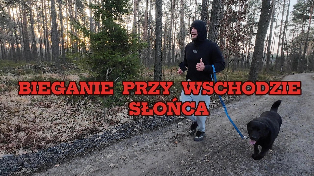 Jak wytworzyć ENDORFINY , bieganie z psem na TRASIE ZAJĄCA w LUBLIŃCU