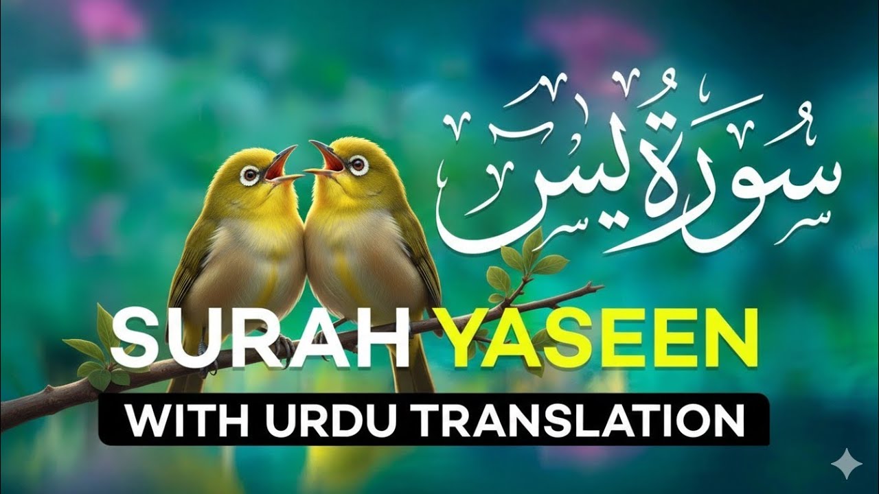 सूरह यासीन उर्दू तर्जुमी के साथ | surah Yasin urdu translation  | सूरह यासीन शरीफ #surahyasin 