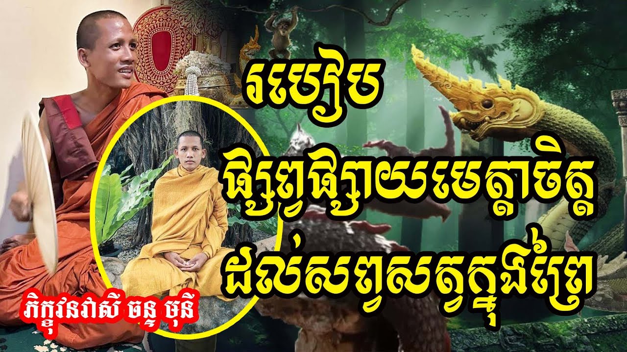 ផ្សាយមេត្តាចិត្តដល់សត្វក្នុងព្រៃ #វនវាសីចន្ទមុនី #លោកឪសួងទី២ #bouthorng Official