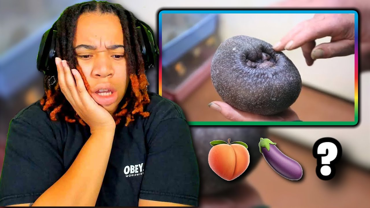 Daily Dose's The Best Of The Internet (2019).. These Videos Are Awesome! 😃