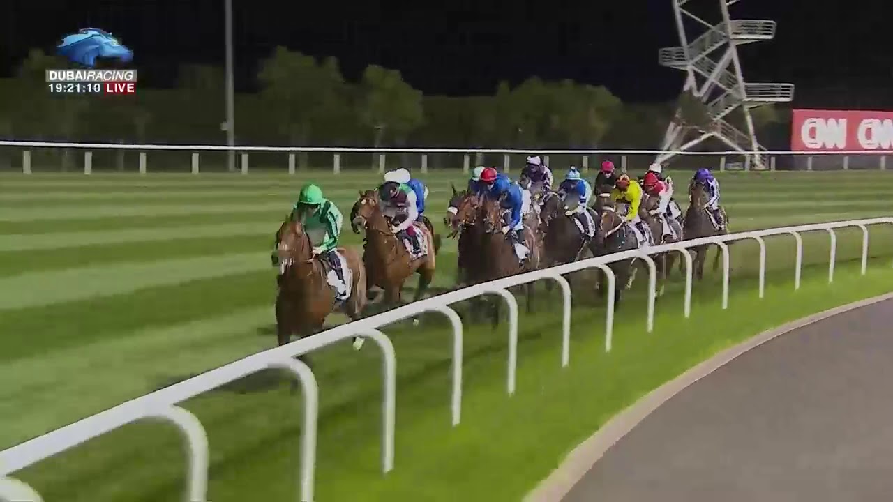 《Japanese Super Horse Almond Eye！！》2019 Dubai Turf  -  ドバイターフ（GroupⅠ）
