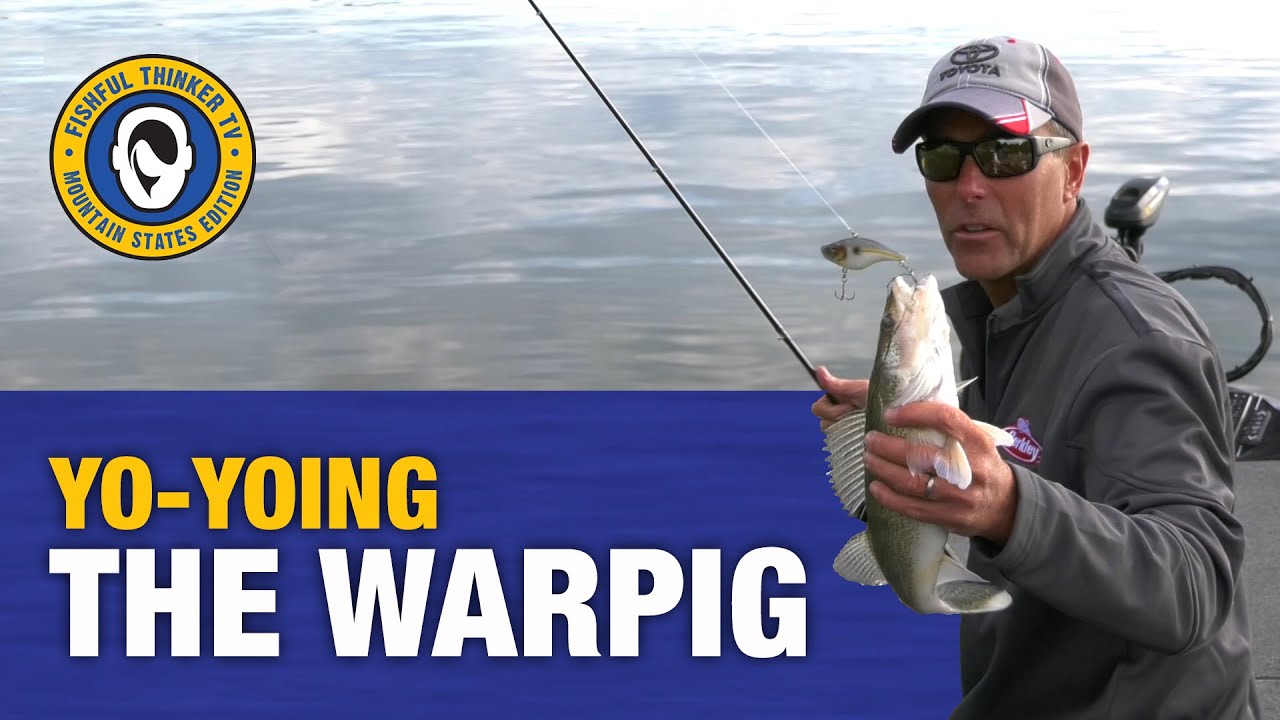 Yo-Yoing the Berkley Warpig (how to)