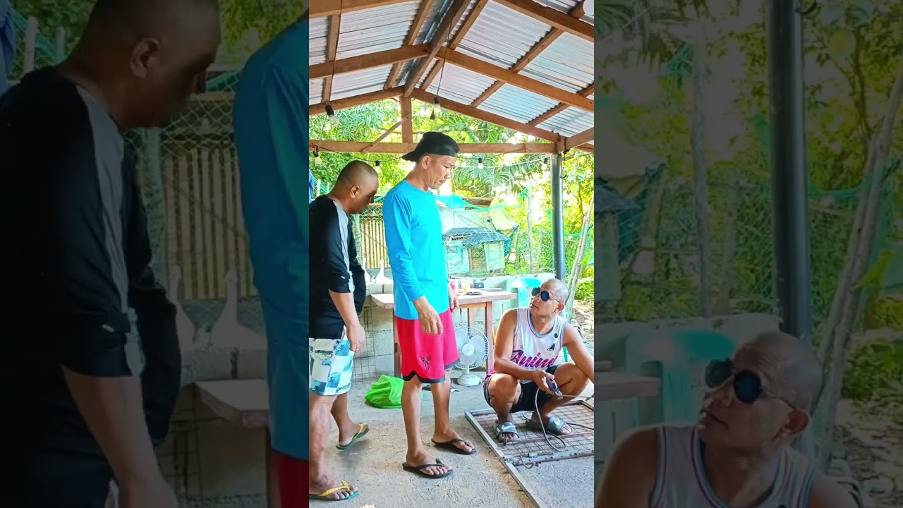 kalbo pakialamero