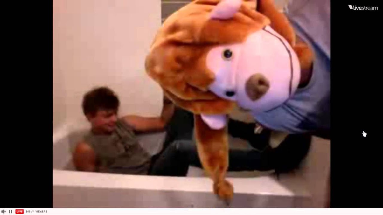 5 Seconds Of Summer Twitcam, September 9th