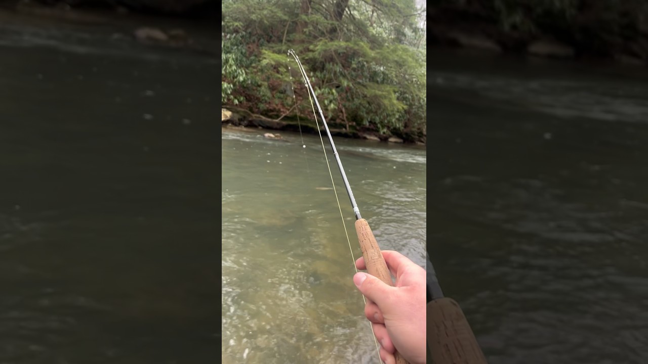 The Lively Legz Rainbow Y2K is nothing but a straight up fish catcher! #fish #fishing #troutfishing