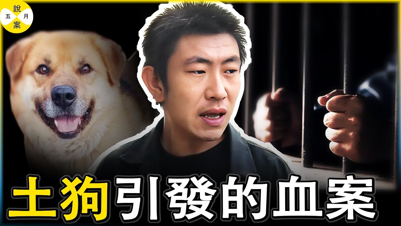 狗咬人 人摔狗 人砍人 2025年的大年初二山西長治潞城發生了一起悲劇 裝修公司老闆闖進鄰居老漢家被捅#熱點新聞 #真實案件紀錄#案件解說#家庭倫理