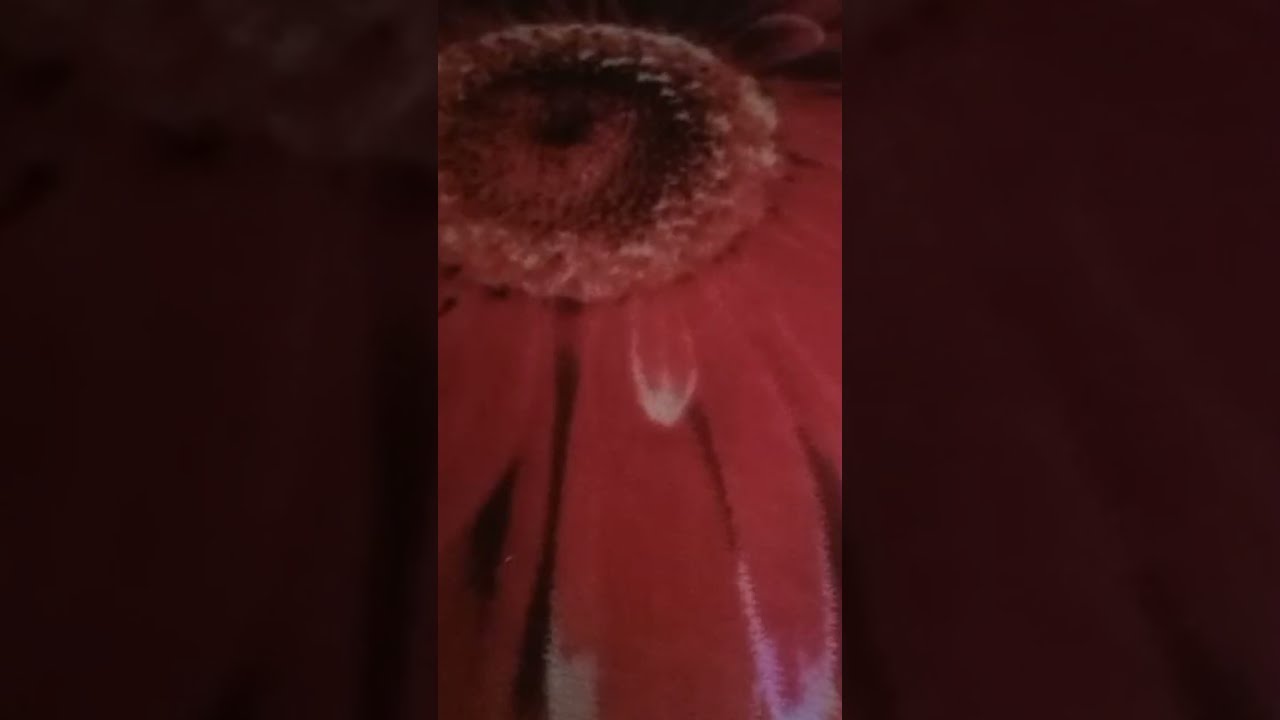 السلام عليكم ورحمه الله وبركاته