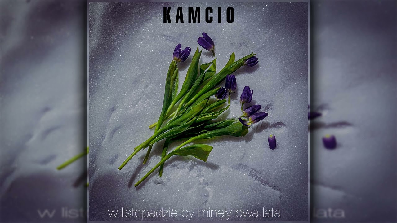 Kamcio - W Listopadzie By Minęło Dwa Lata [Official Audio]