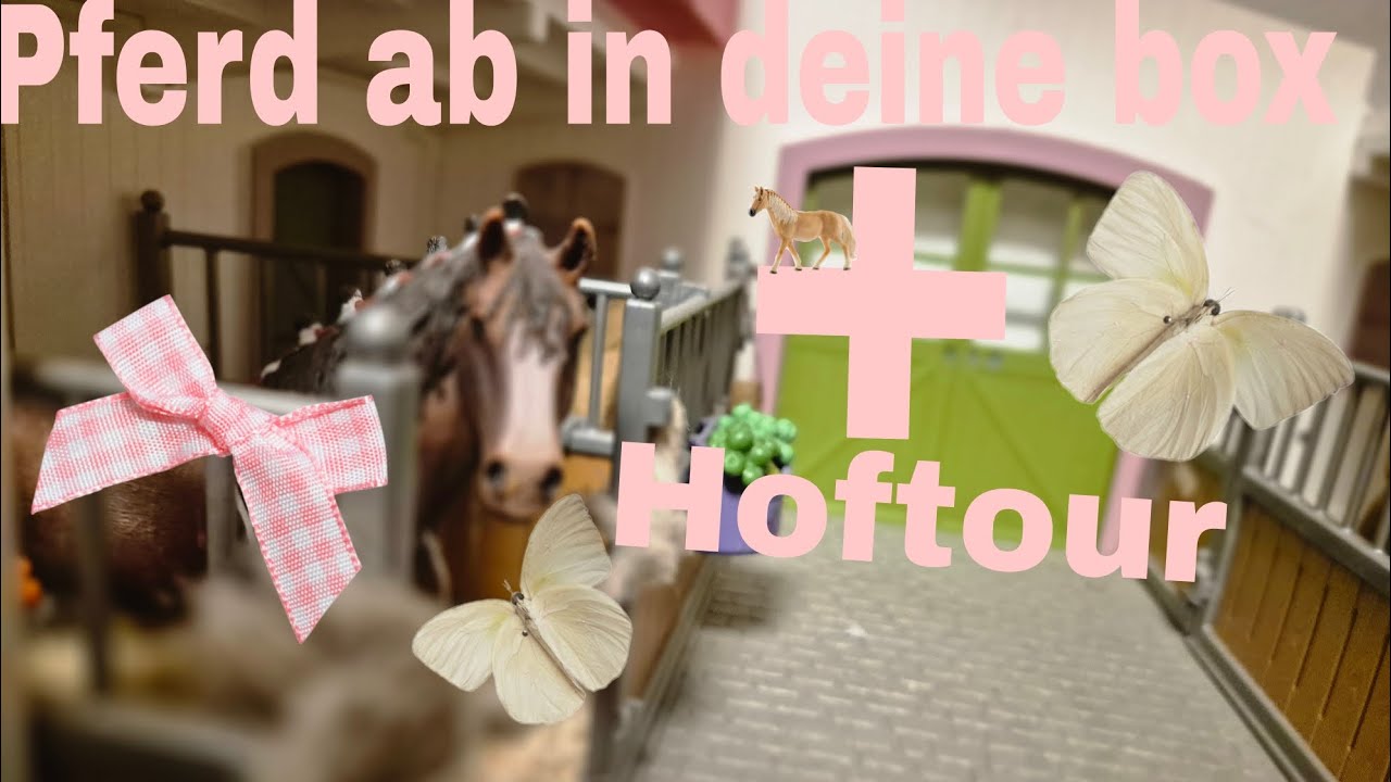 Pferd ab in deine box + Hoftour👀📹