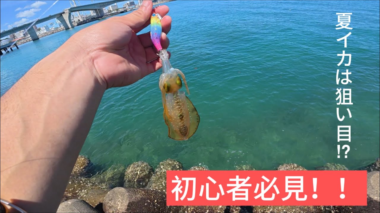 (沖縄釣り)  ゆったりのんびり休日　エギング