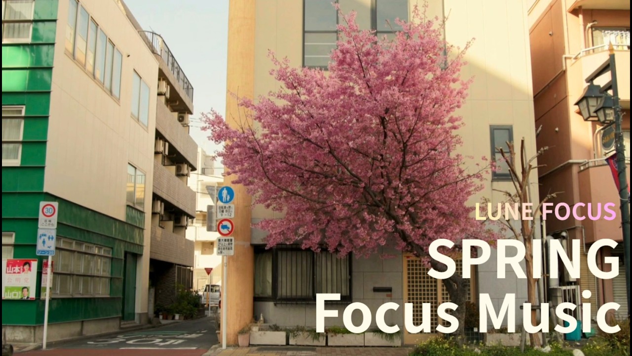 Spring Study Music 🌸 Japanese Sakura Ambience | Deep Focus, Relaxing Piano & Nature Background