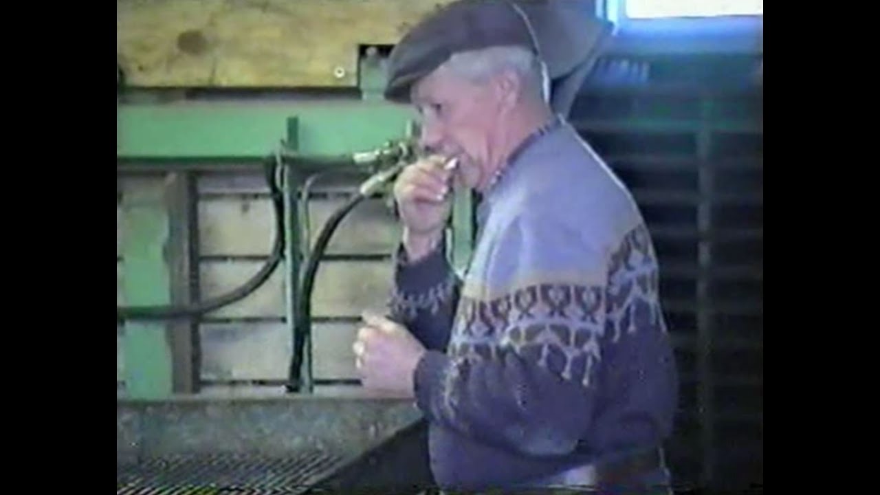 Familie Bakker Lutjebroek - Hoogkarspel Thuis & Bedrijf